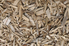 biomass boilers Boness